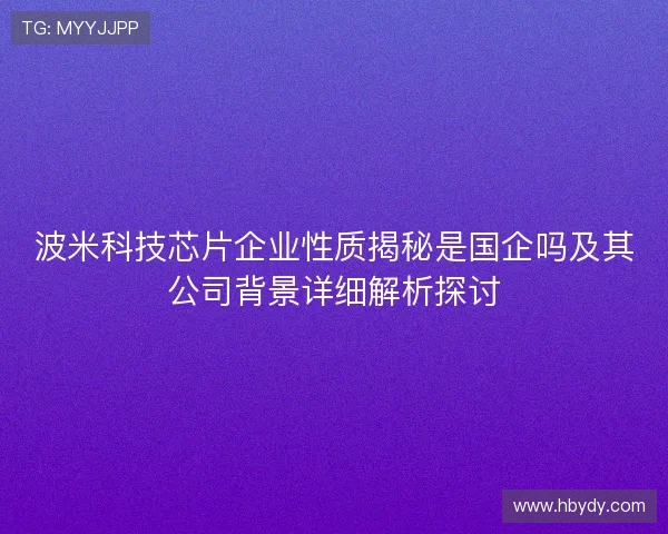波米科技芯片企业性质揭秘是国企吗及其公司背景详细解析探讨